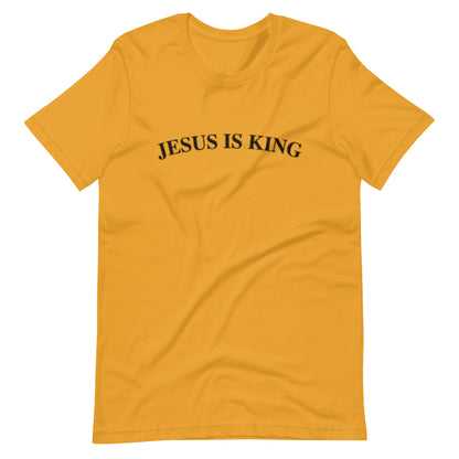 Jesus Is King (Center City Collection) Unisex t-shirt in Black